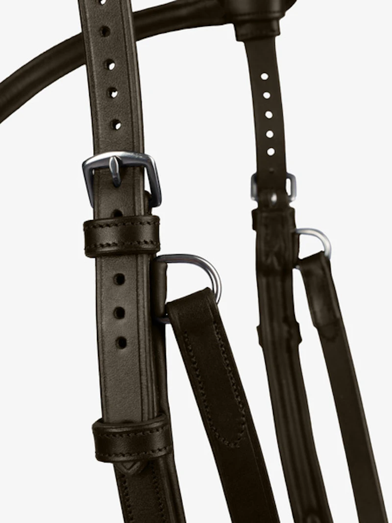 Bridle King Edward Bridle King Edward