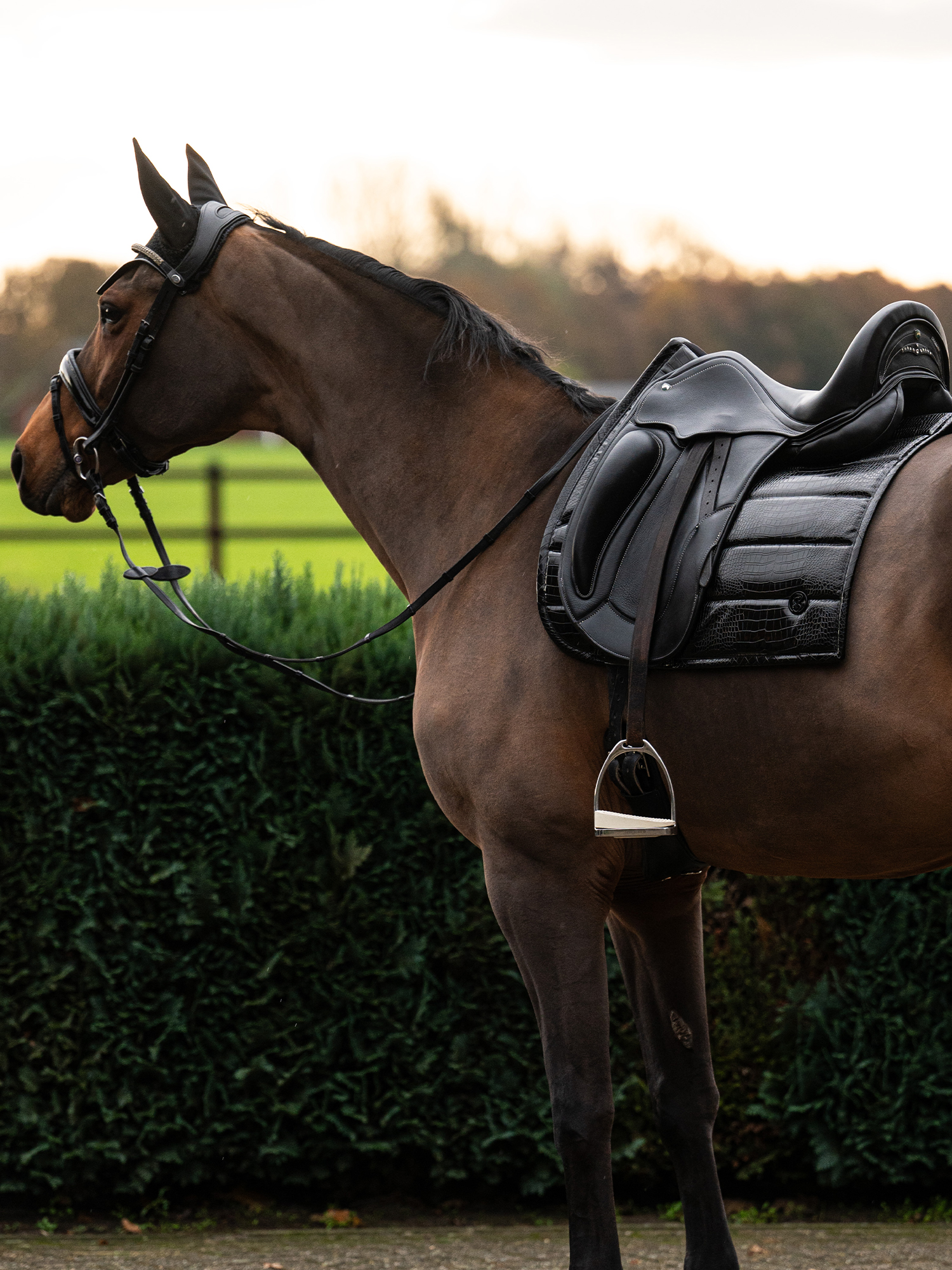 Saddle Pad Croco PU Dressage