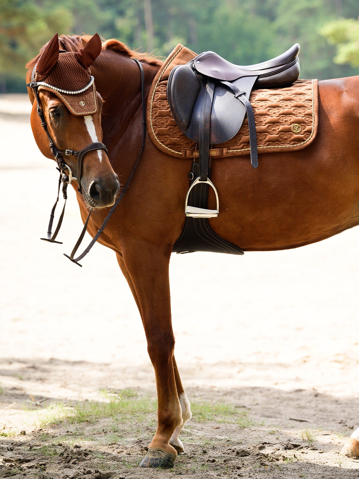 Saddle Pad Velvet Monogram Jump