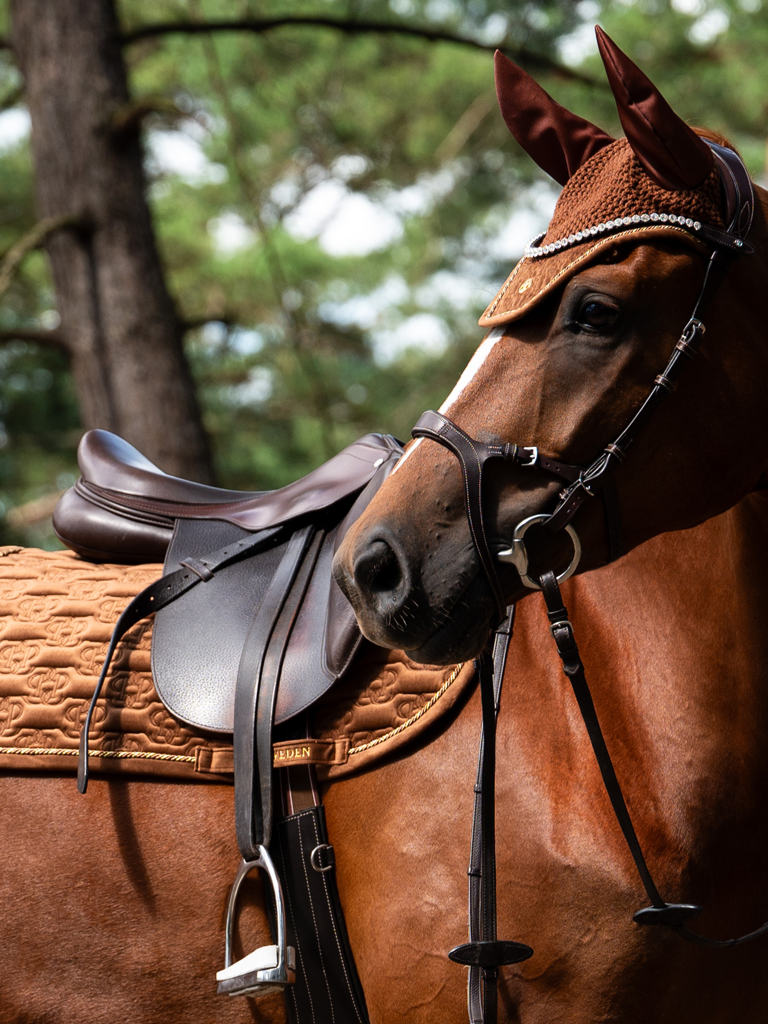 Saddle Pad Velvet Monogram Jump