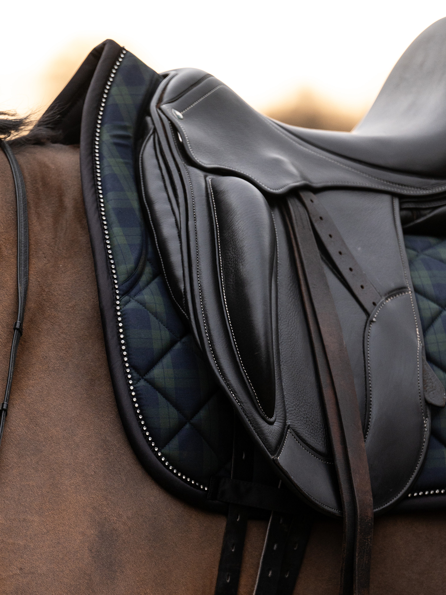 Tartan Checked Dressurschabracke