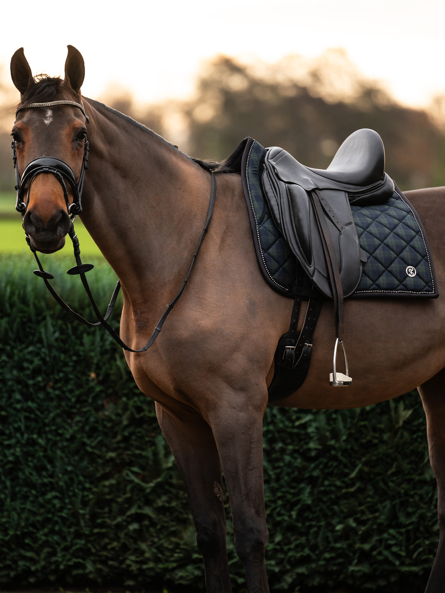 Tartan Checked Dressurschabracke