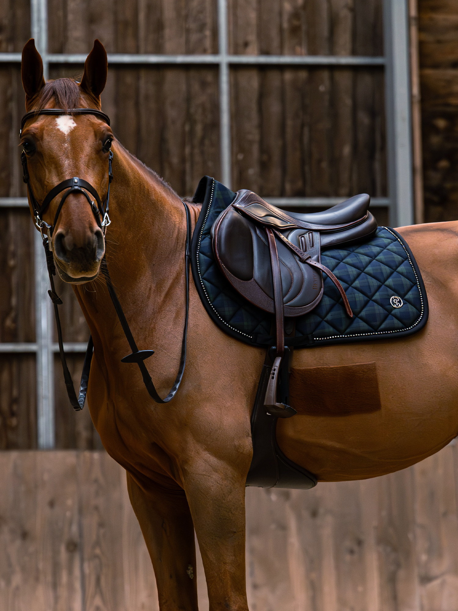 Tartan Checked Saddle Pad Jump