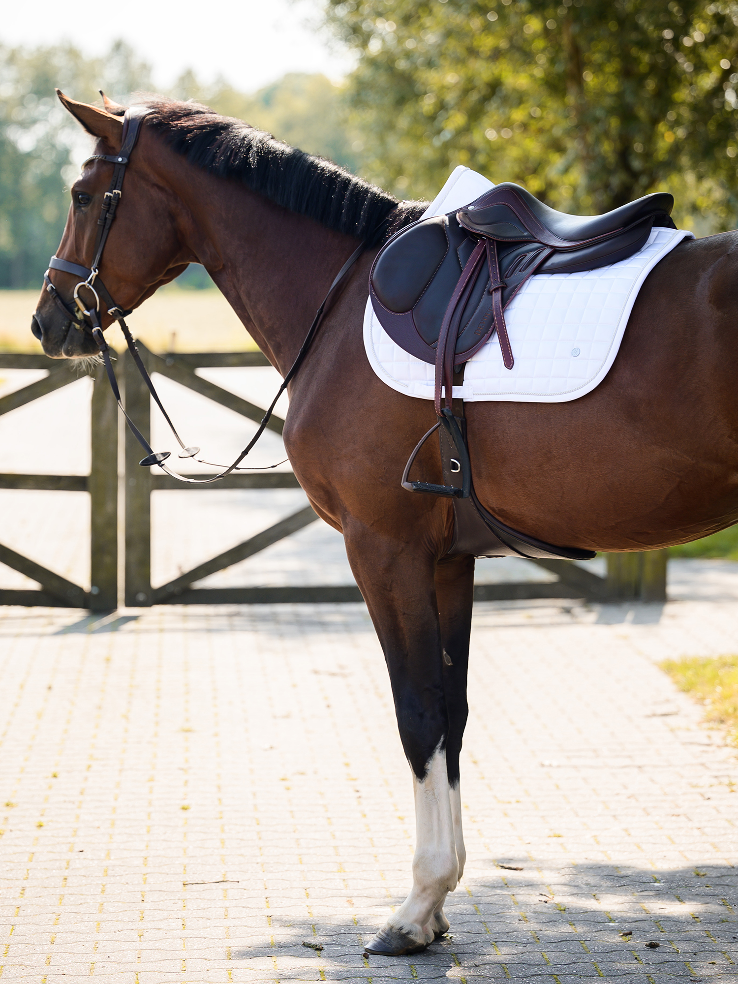 Saddle Pad Classic Quilt Jump