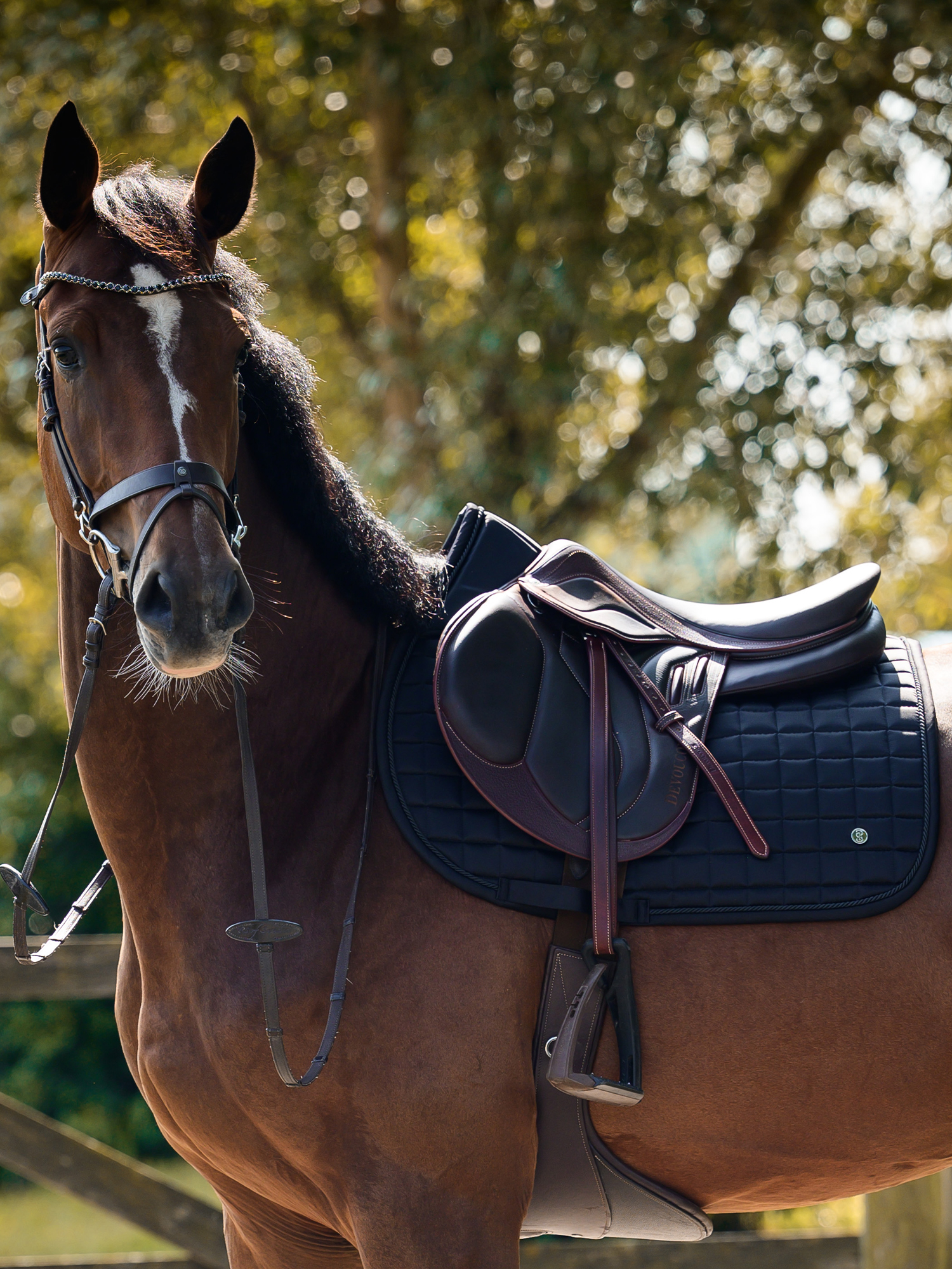 Saddle Pad Classic Quilt Jump
