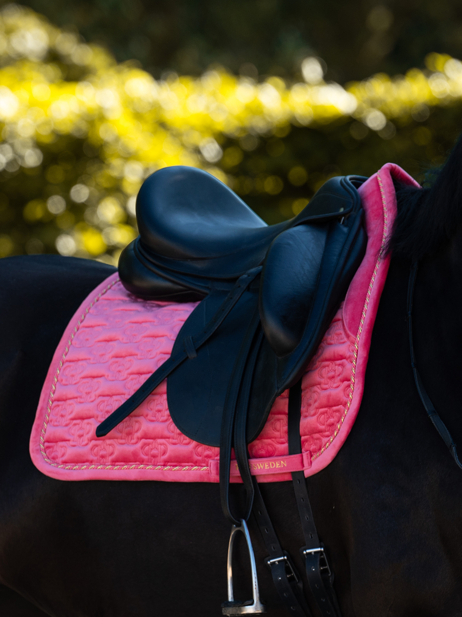 Saddle Pad Velvet Monogram Dressage