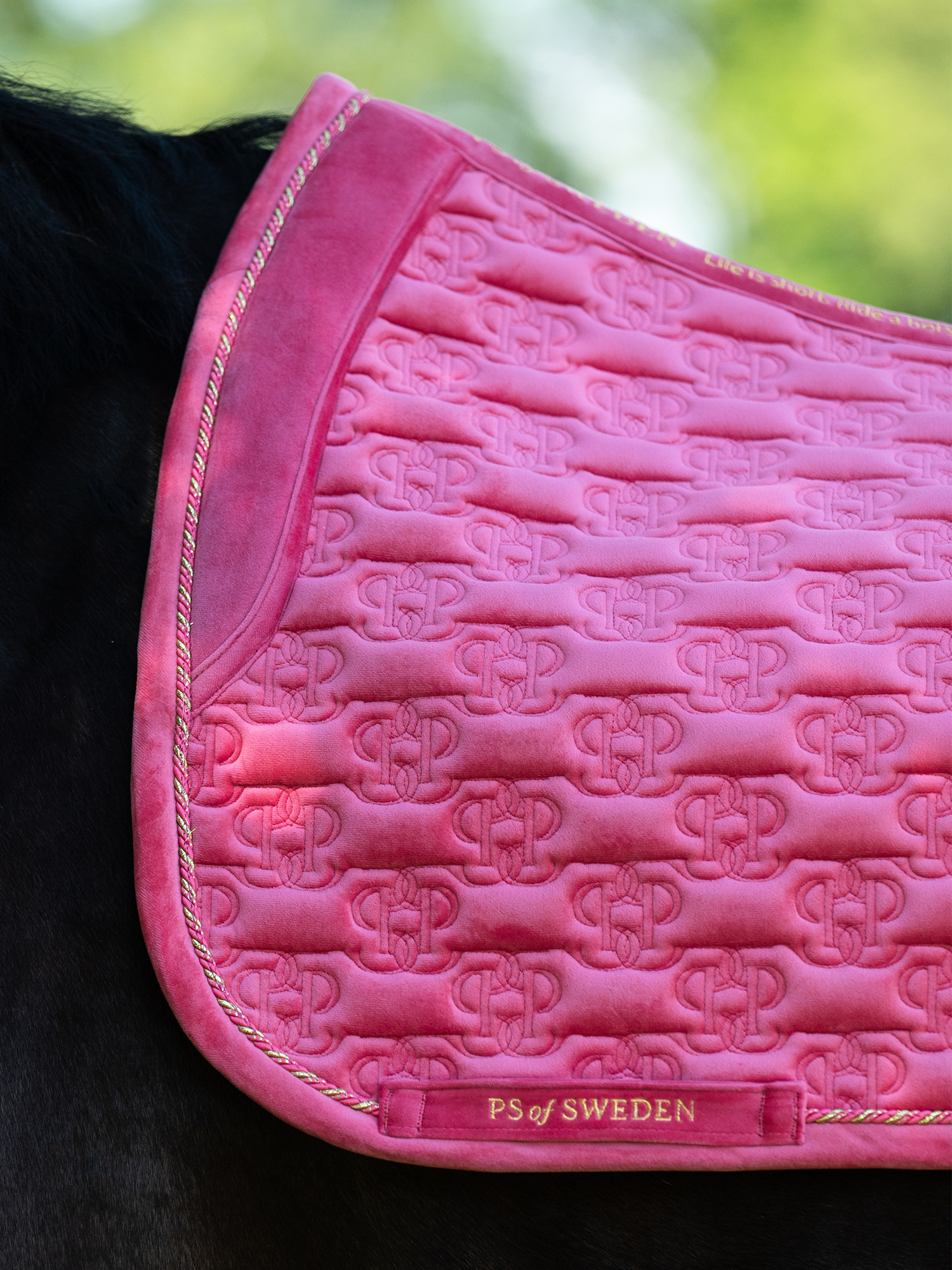Saddle Pad Velvet Monogram Dressage