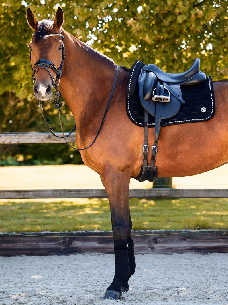 Paire de chevaux de Dalécarlie en bois sculpté en Suède | Kaufen auf Paire de chevaux de Dalécarlie en bois sculpté en Suède | Kaufen auf