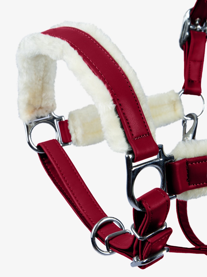 Teddy Halter Teddy Halter