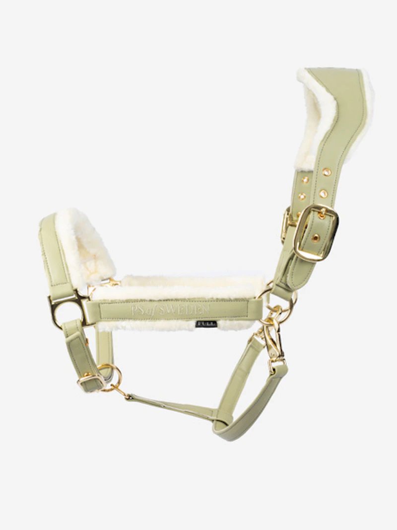 Teddy Halter Teddy Halter