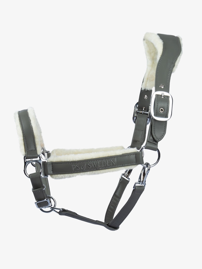 Teddy Halter Teddy Halter