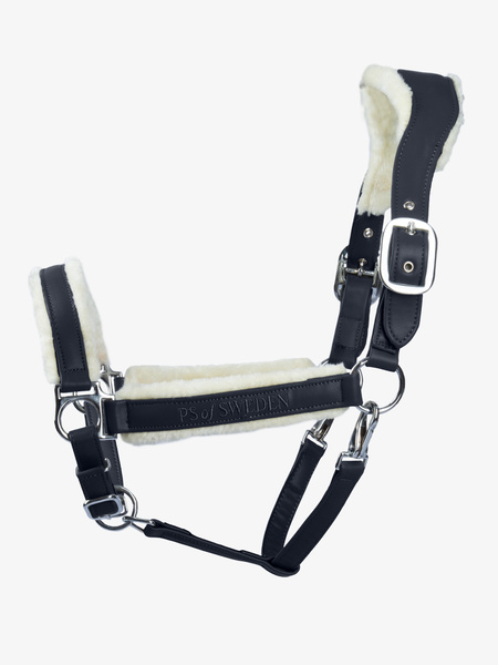 Teddy Halter