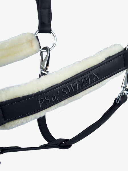 Teddy Halter