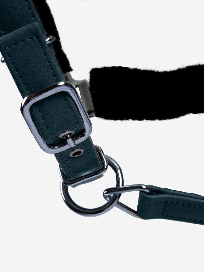 Teddy Halter Teddy Halter