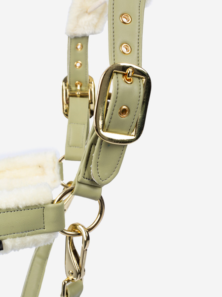 Teddy Halter