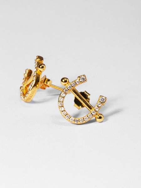 Pierced Horse Shoe Earrings