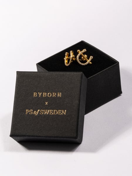 Pierced Horse Shoe Earrings