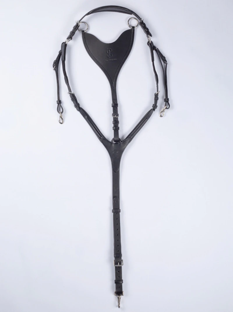 Mexico Breastplate Mexico Breastplate