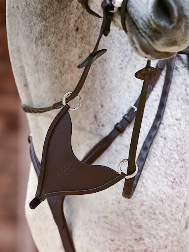 Mexico Martingale Bib Mexico Martingale Bib