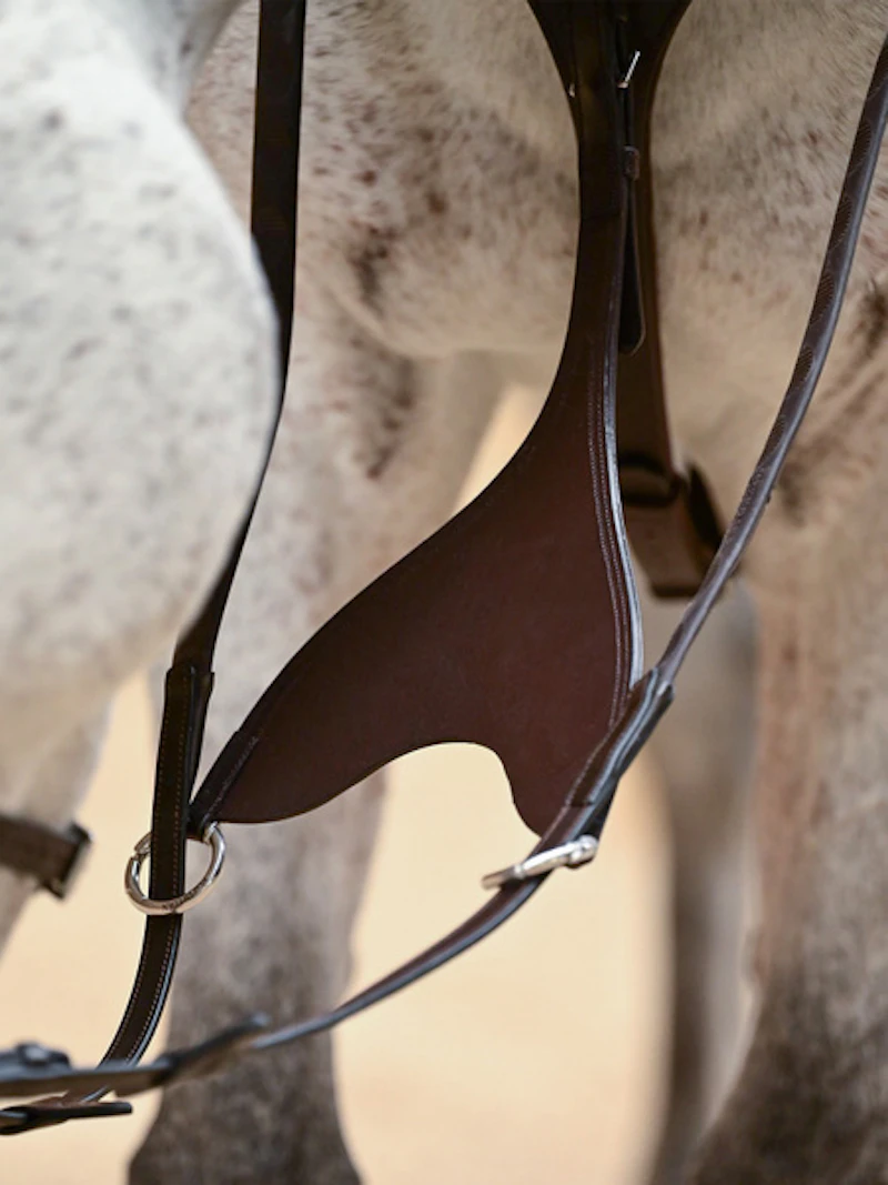 Mexico Martingale Bib Mexico Martingale Bib