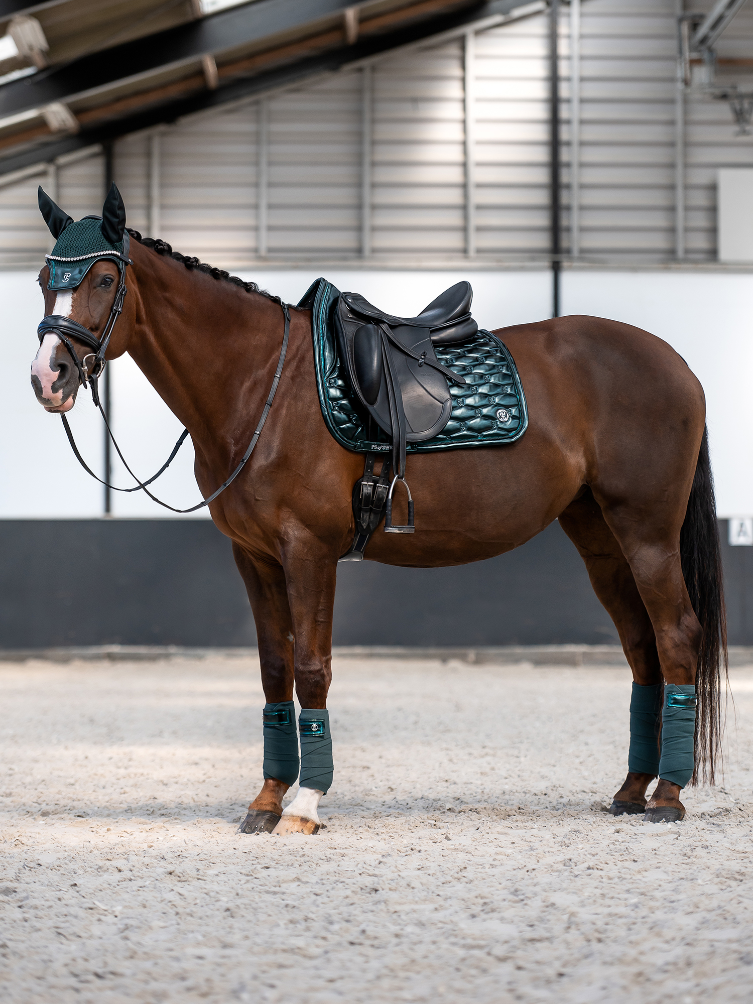 Dazzling Metallic Saddle Pad Dressage