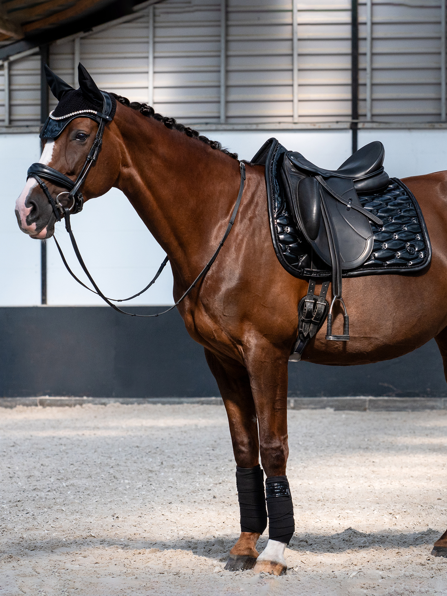 Dazzling Metallic Saddle Pad Dressage