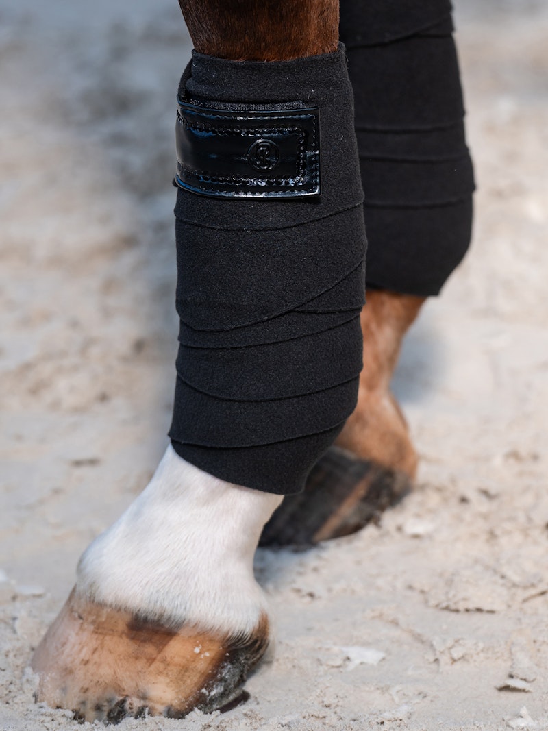 Dazzling Holiday Polos Dazzling Holiday Polos