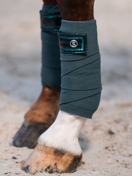 Dazzling Holiday Polos