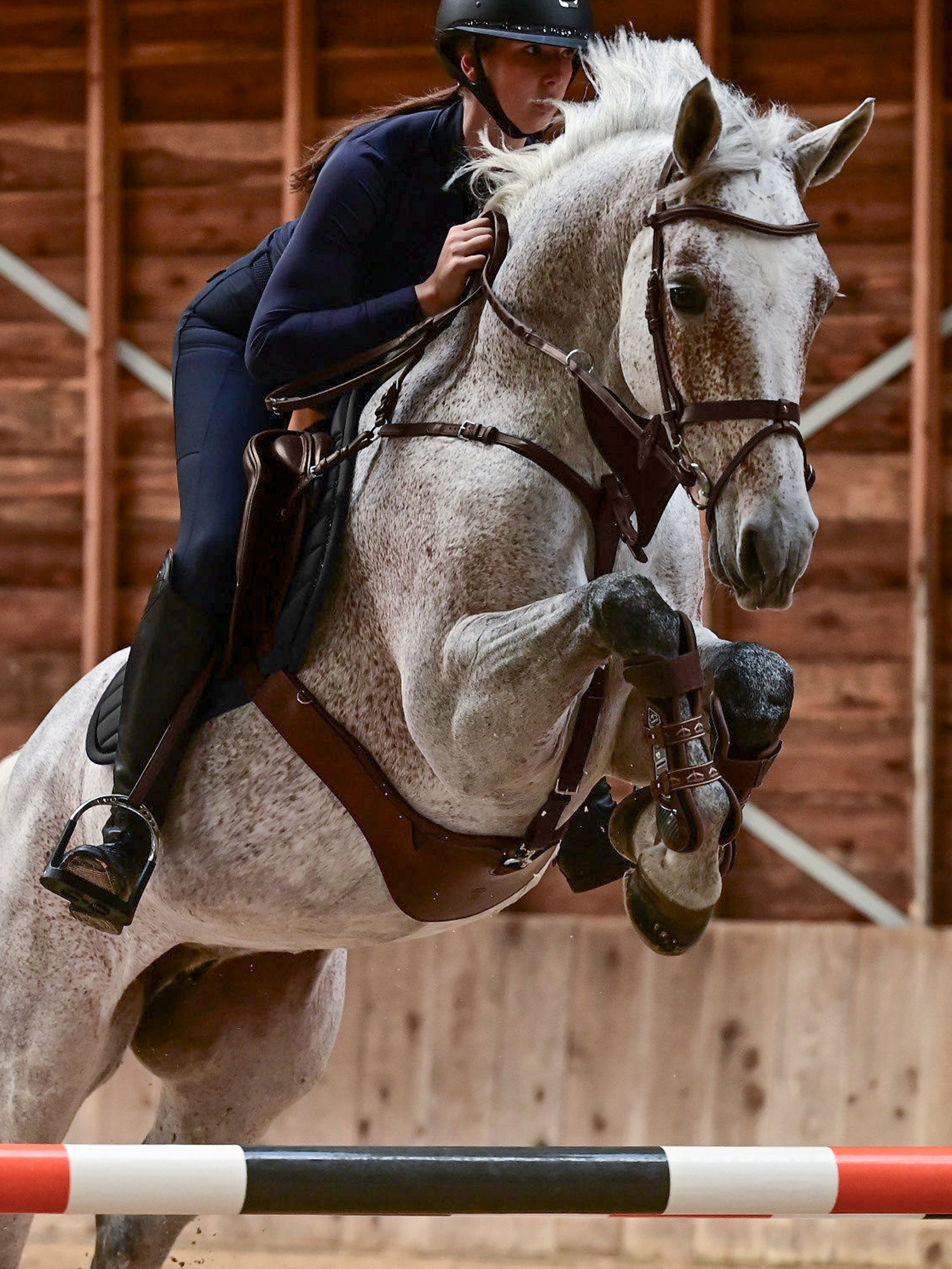 Sydney Jumping Girth