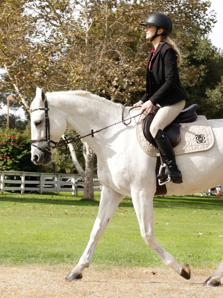Diamond Quilt Jump Saddle Pad