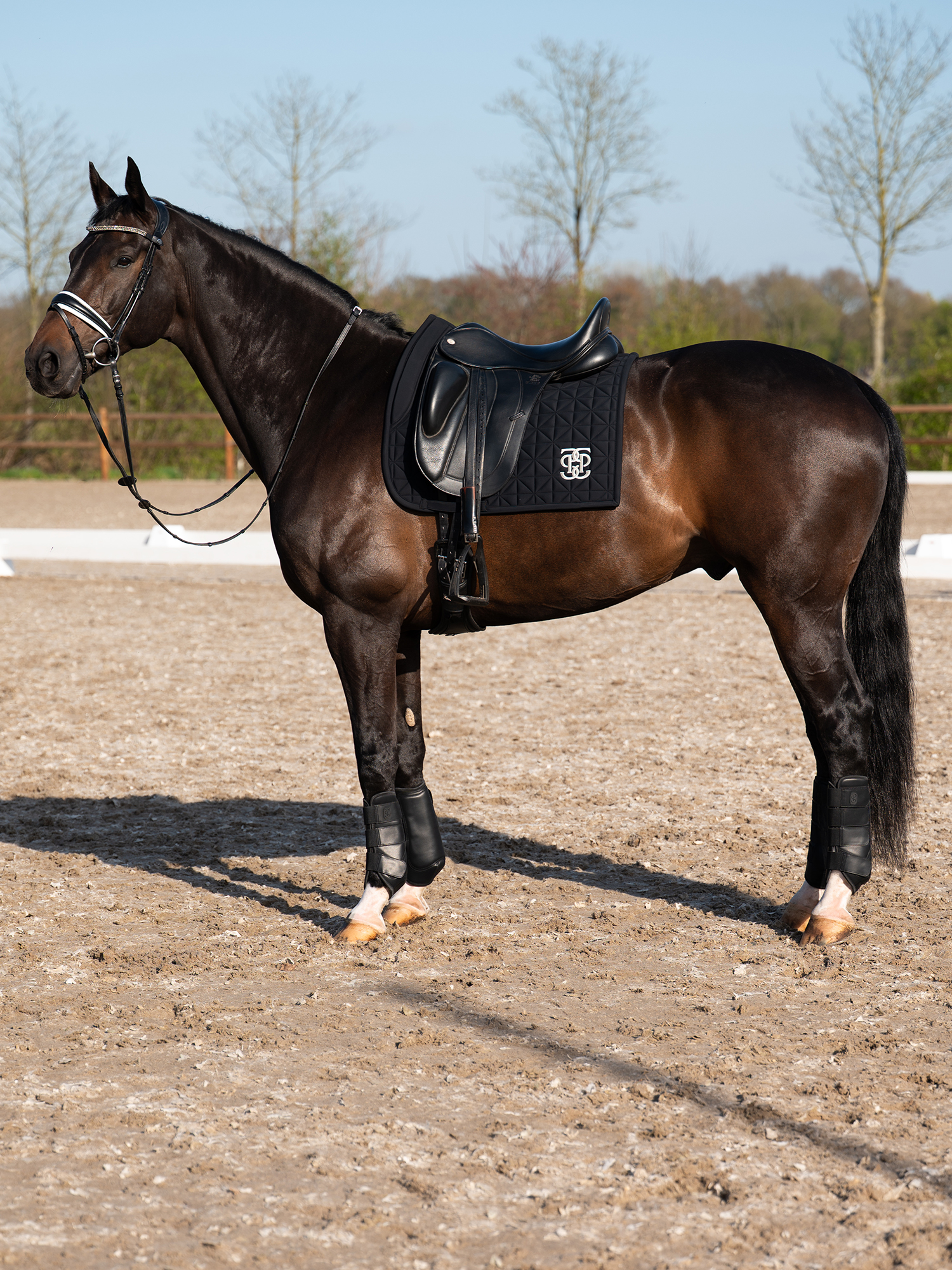 Premium Training Hind Boots 2-pack