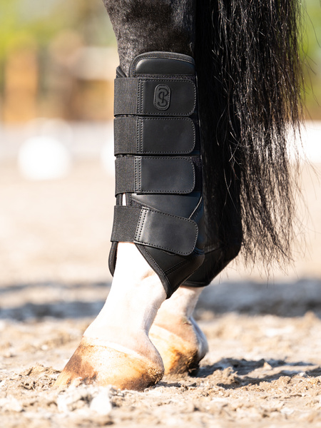 Premium Training Hind Boots 2-pack
