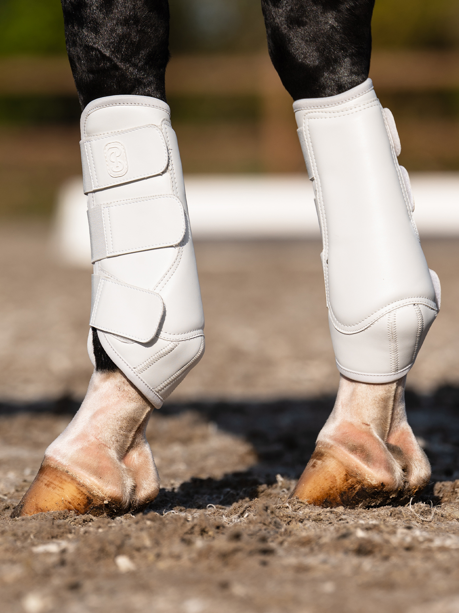 Premium Training Front Boots 2-pack