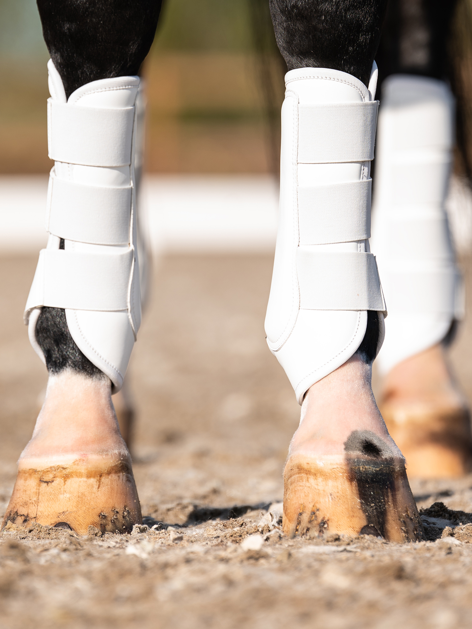 Premium Training Front Boots 2-pack