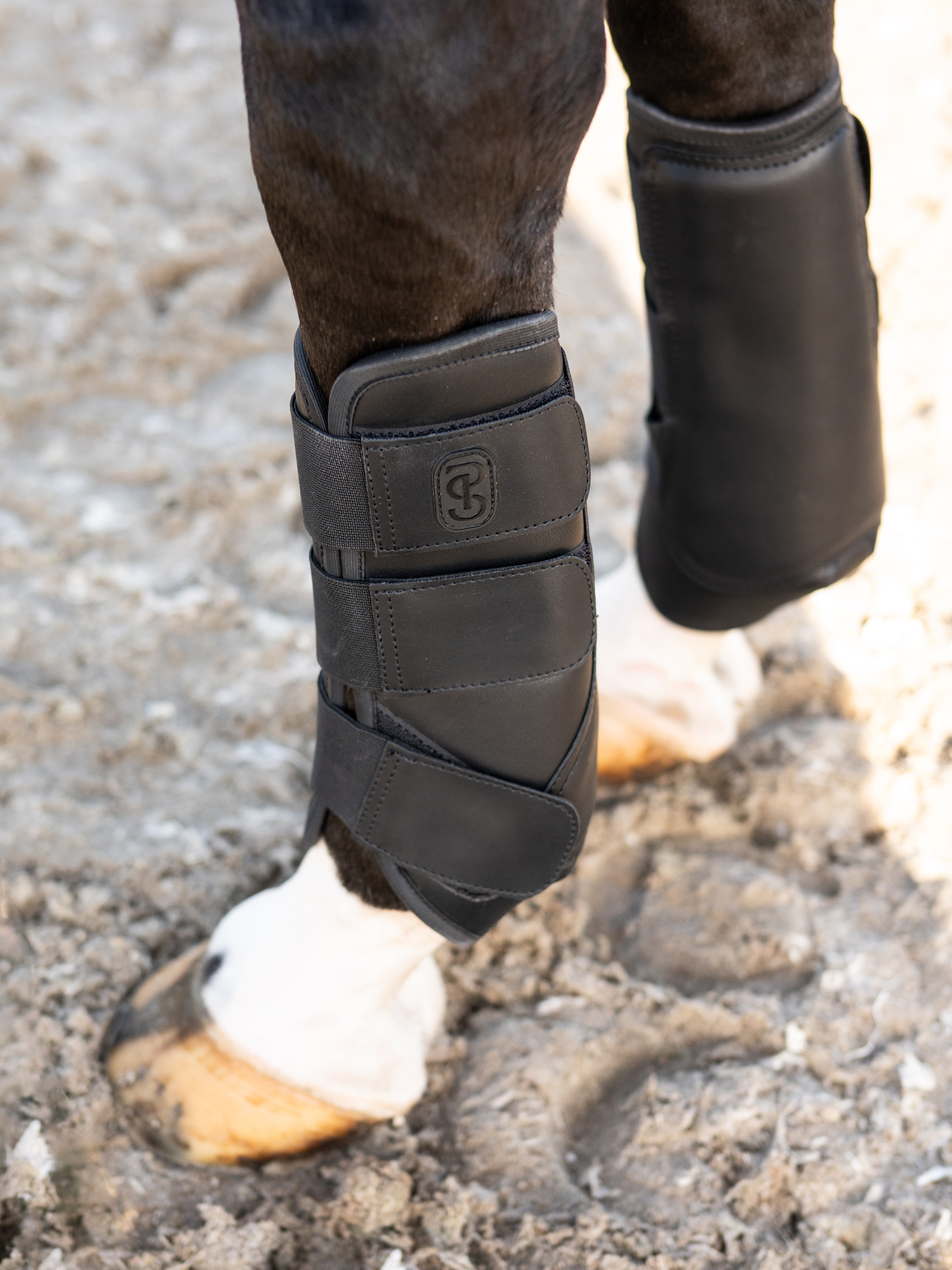 Premium Training Front Boots 2-pack