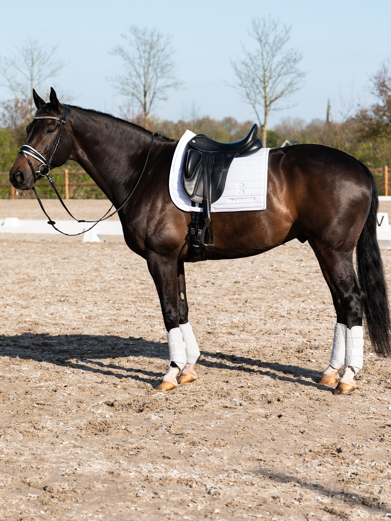 Premium Training Front Boots 2-pack