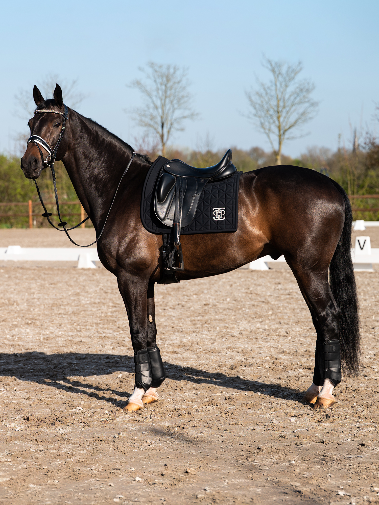 Premium Training Front Boots 2-pack