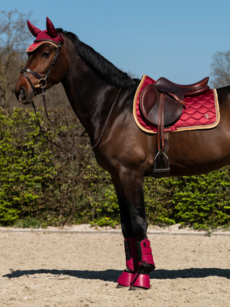 Premium Mesh Front Brushing Boots 2-Pack Premium Mesh Front Brushing Boots 2-Pack