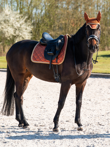 Vintage Monogram Dressage Saddle Pad