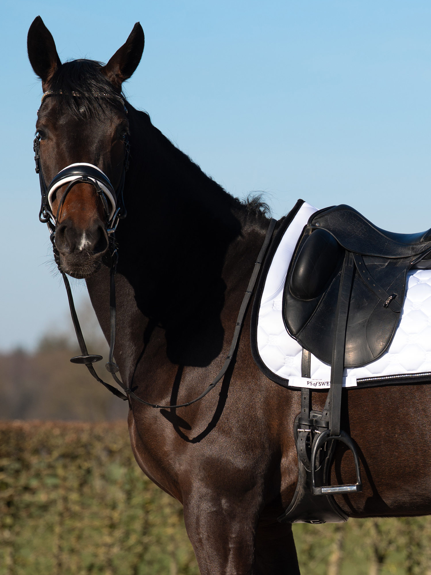 Vintage Monogram Dressage Saddle Pad