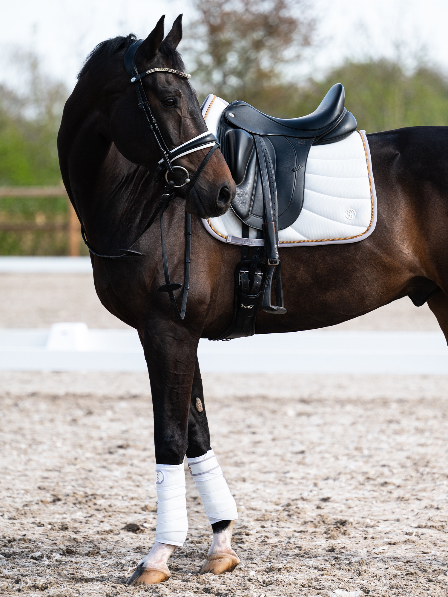 Airflow Mesh Dressage Saddle Pad