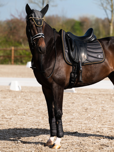 Airflow Mesh Dressage Saddle Pad