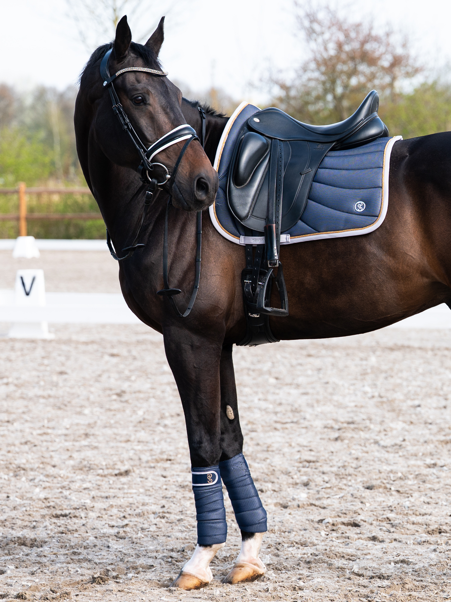 Airflow Mesh Dressage Saddle Pad