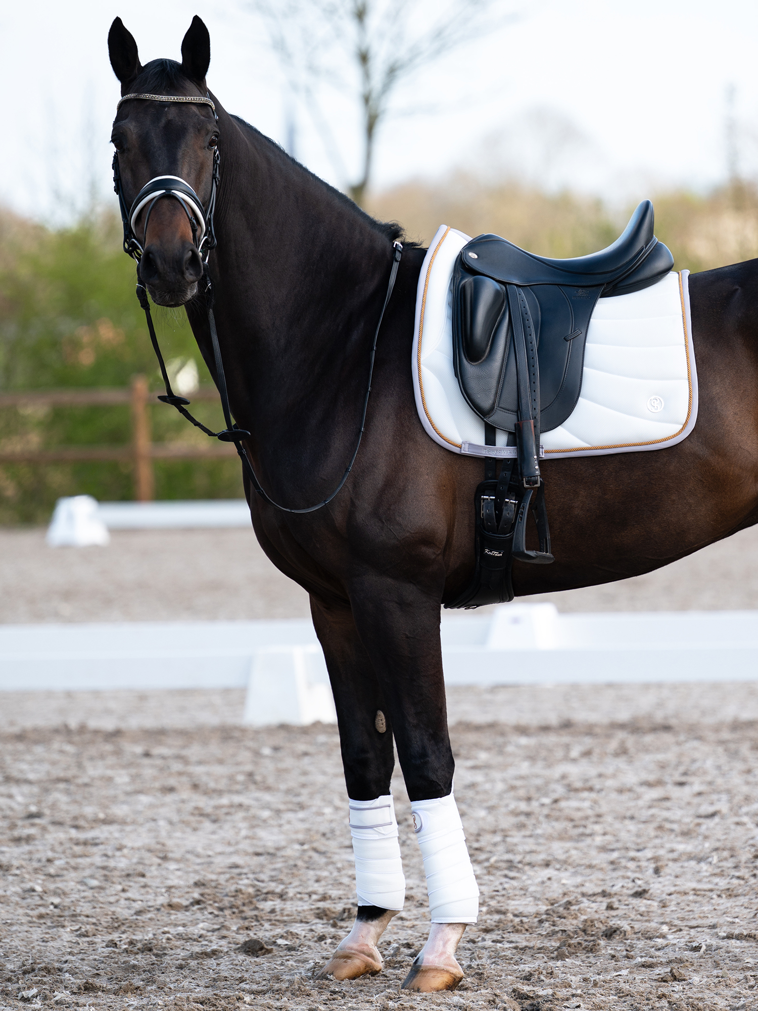 Airflow Mesh Polos 2-Pack