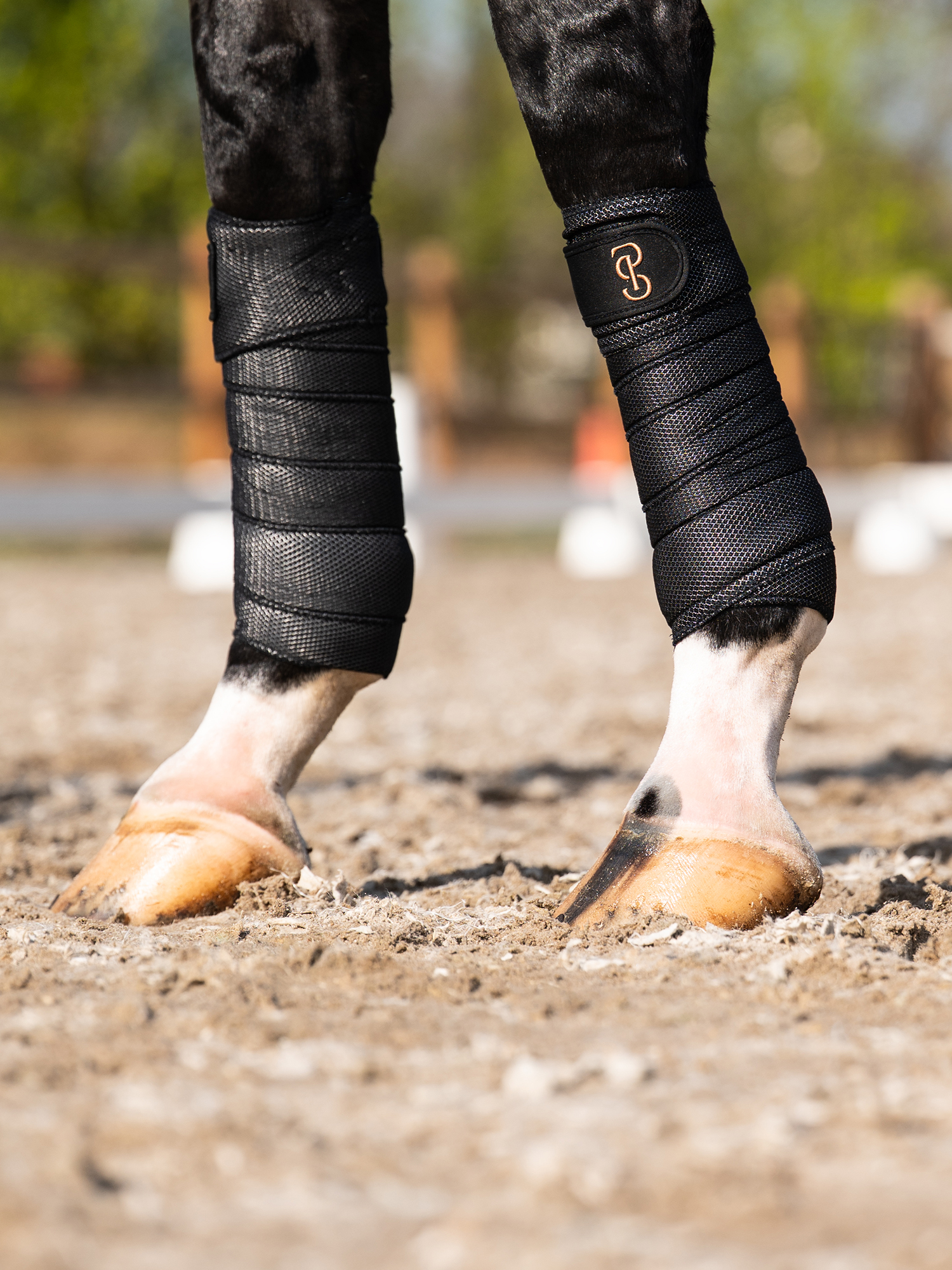 Airflow Mesh Polos 2-Pack