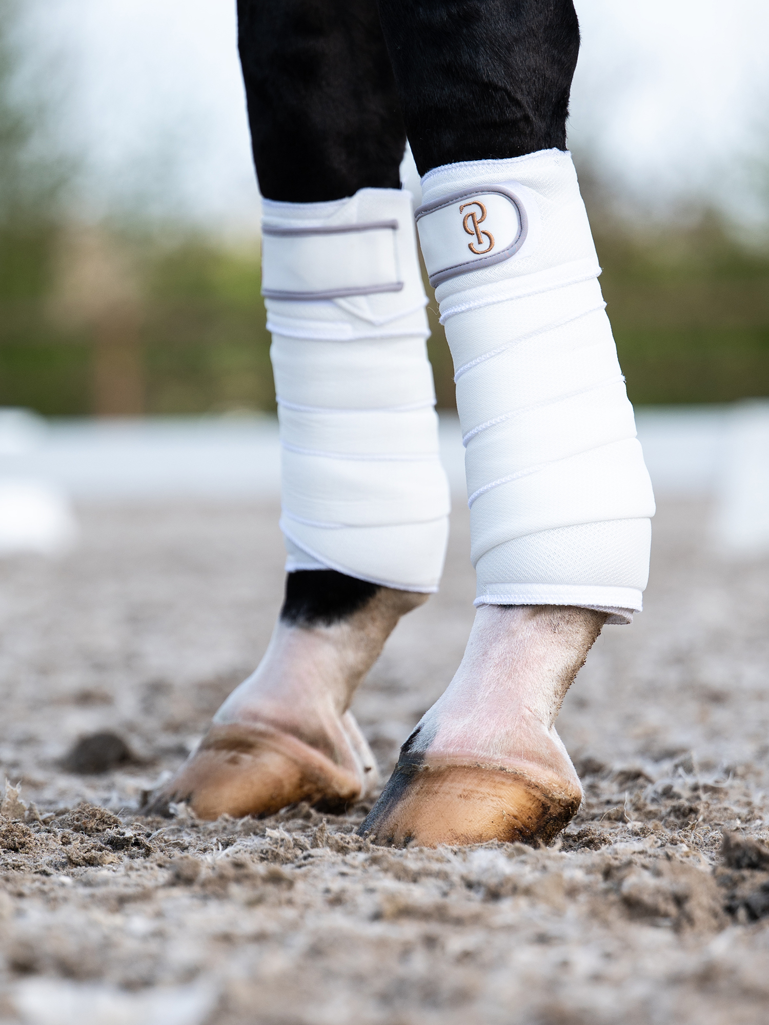 Airflow Mesh Polos 2-Pack