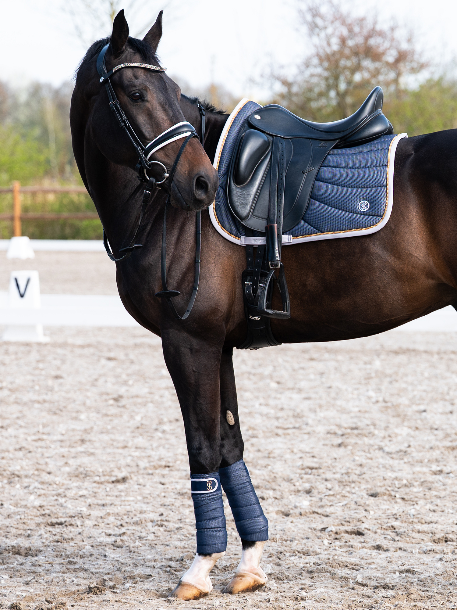 Airflow Mesh Polos 2-Pack