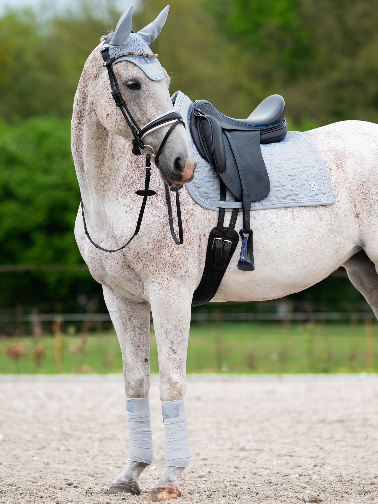 Crystal Dressage Saddle Pad
