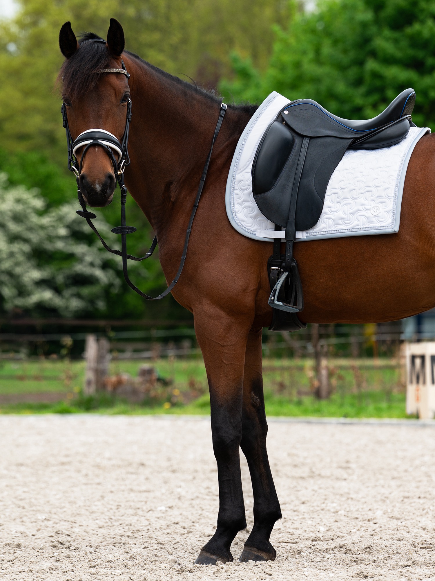 Crystal Dressage Saddle Pad