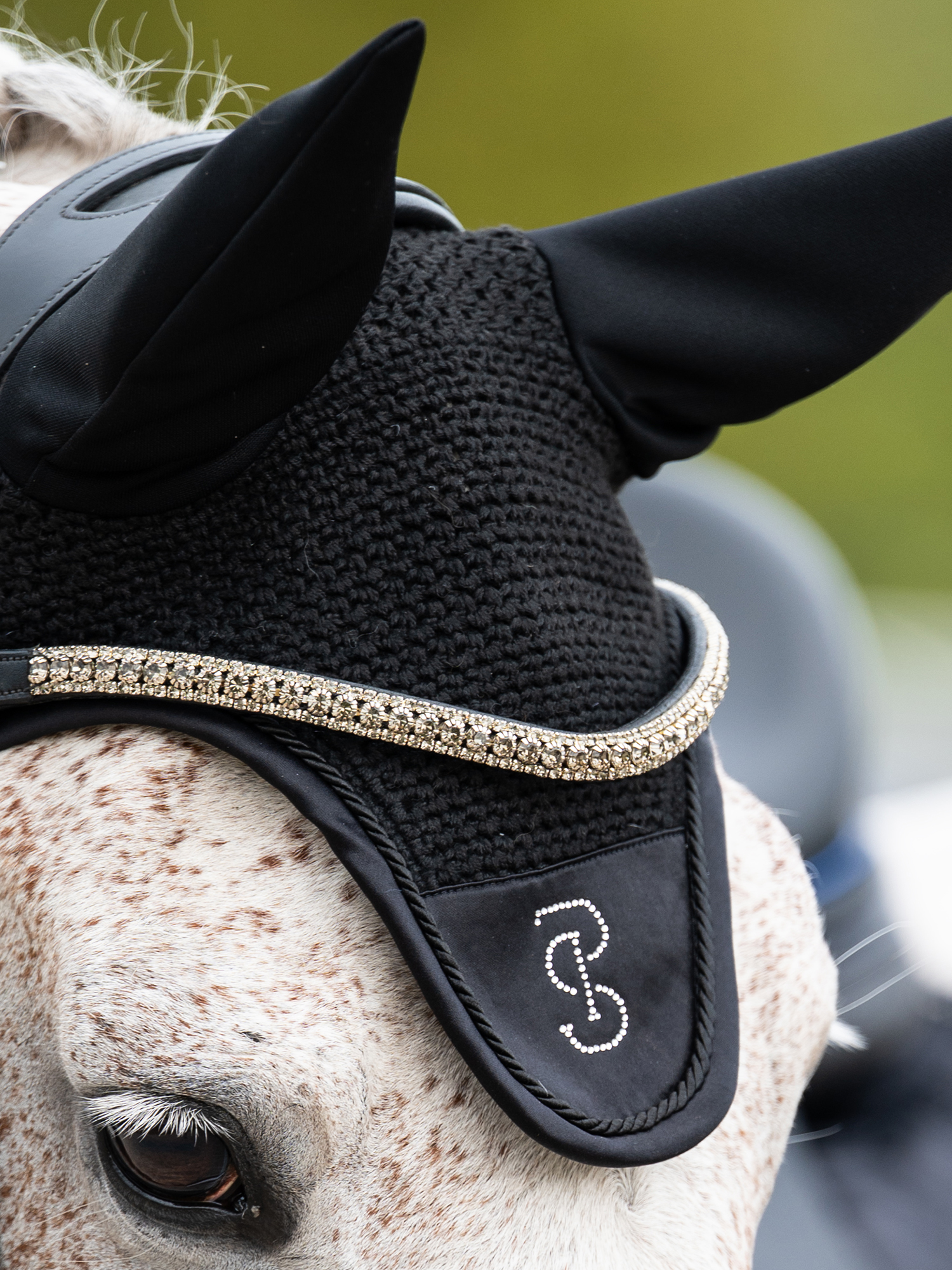 Fliegenhaube Crystal